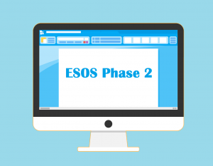 ESOS Phase 2