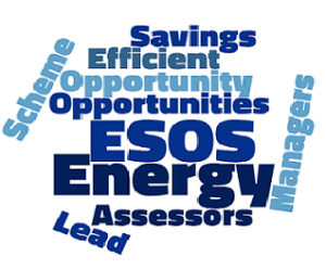 Esos Wordcloud Smaller Cropped