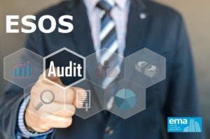 Esos Audit