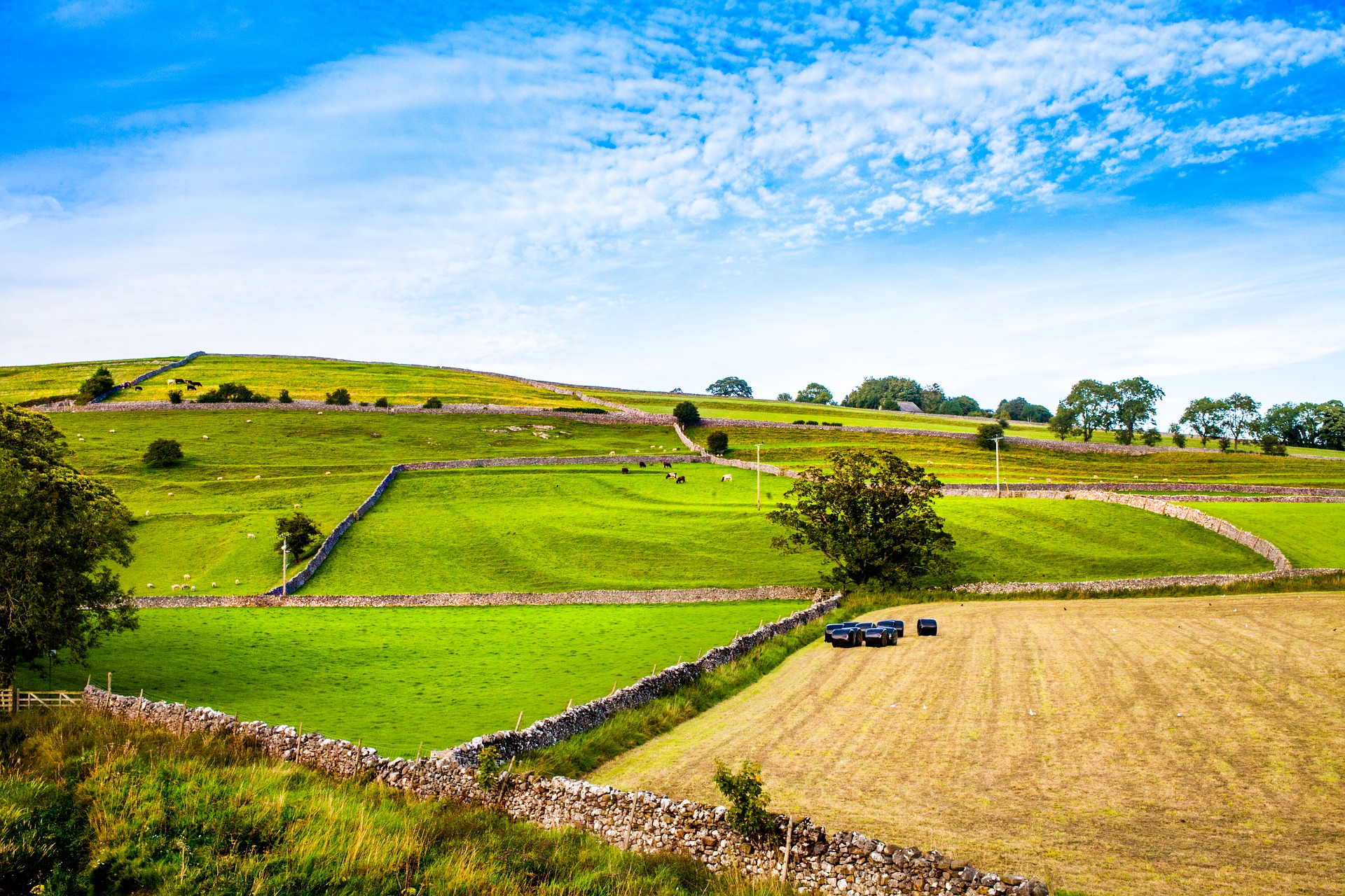 Yorkshire Landscape