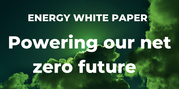 Energy White Paper 600x300