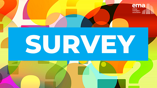 Survey 529x289