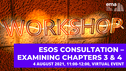 Esos Consultation Ch 3&4 Workshop 529x289