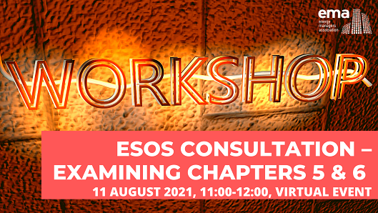 Esos Consultation Ch 5&6 Workshop 529x289