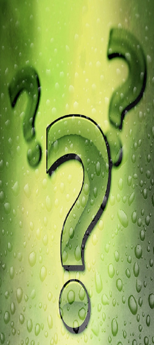 Question Mark 1119855 500x1120