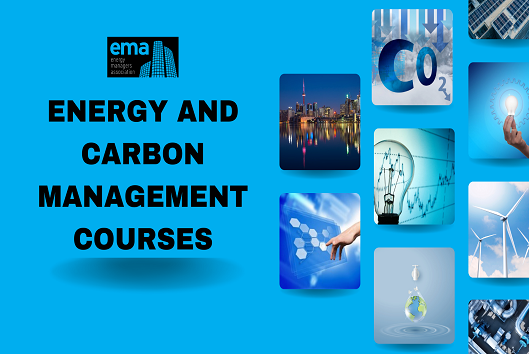 Learning And Development 529x354