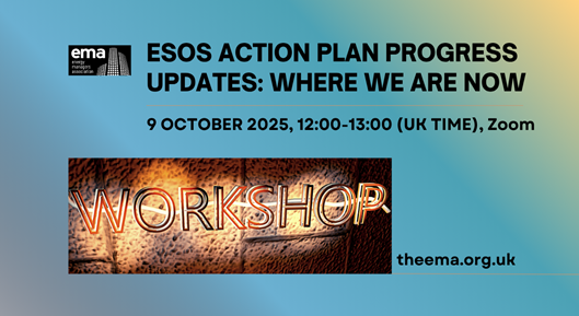 Ema Workshop 2025 529x289 Oct 2025