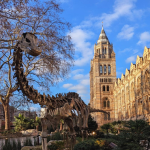 ENERGY MANAGEMENT AT THE NATURAL HISTORY MUSEUM